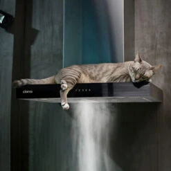 CIARRA 4 Speeds Class A++ 650m3/h Touch Control Chimney Cooker Hood 60cm -CBCS6102 -Home Appliance Store 36409475 4