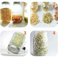 Pack Stainless Steel Sprouting Jar Lid Kit For Excellent Ventilation Wide Mouth Mason Jars Mason Jars For Making -Home Appliance Store 72509571 4