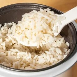 Judge Mini Rice Cooker -Home Appliance Store 88699972 5