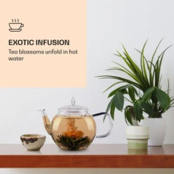 Feelino Tea Flowers 6 Different Varieties Individually Packed Very Productive -Home Appliance Store 91854030 3