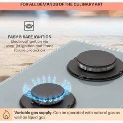 Klarstein Firetale Gas Hob 2-Burner Aluminium Burner Natural Gas/Propane Incl. Hose And Pressure Reducer 11 Klarstein Firetale Gas Hob 2-Burner Aluminium Burner Natural Gas/Propane Incl. Hose And Pressure Reducer -Home Appliance Store 97224695 5